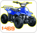 mini atv