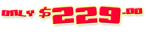 pocket bikes sale price
